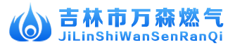 吉林市萬(wàn)森燃?xì)庥邢挢?zé)任公司